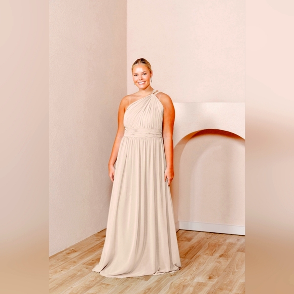Revelry Dresses & Skirts - Revelry Brooklyn Chiffon Dress in Champagne - 916
